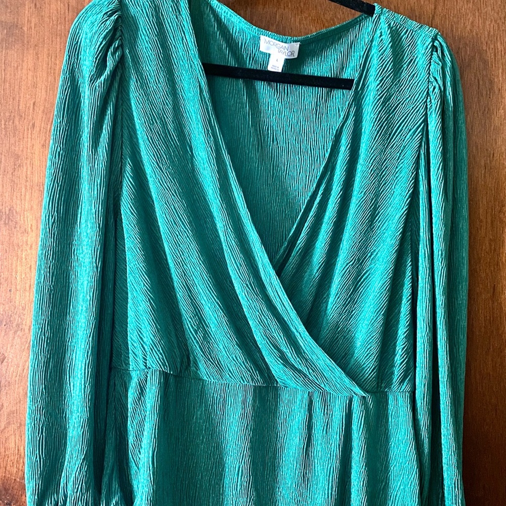 MORGAN TAYLOR, Long-sleeve, Crepe-Draped V-Neck, Green, Blouse, Size L
